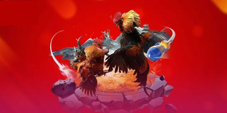 Trải Nghiệm Đá Gà Fun88: Sân Chơi Cá Cược Hấp Dẫn, An Toàn Và Uy Tín Nhất 2025